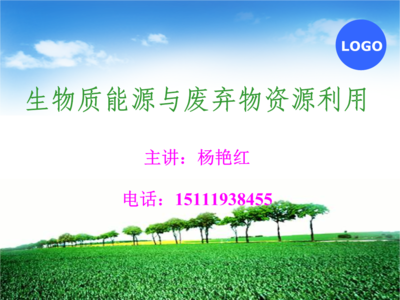 第一章-生物质能源概述.ppt免费全文阅读