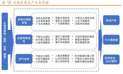 双碳助推生物质发电发展 行业未来可期